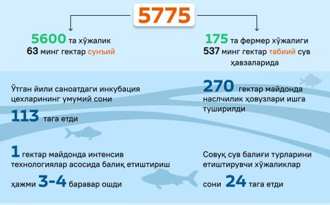 O‘zbekistonda o‘tgan yili baliqchilik qanday rivojlandi?