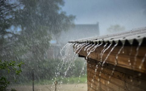 Oʻzbekistonning aksariyat hududlarida bugun vaqti-vaqti bilan yomgʻir yogʻadi