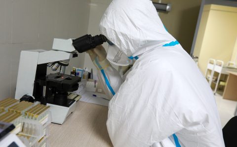 Yevropa halokatli virus tarqalishidan ogohlantirildi