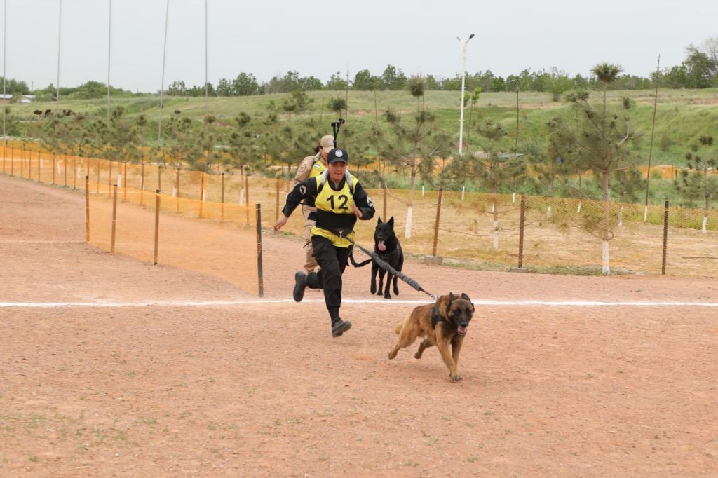 Toshkent viloyati Chirchiq shahrida kinologiya xizmati mutaxassislari o‘rtasida “Dog biatlon” musobaqasi bo`lib o`tdi