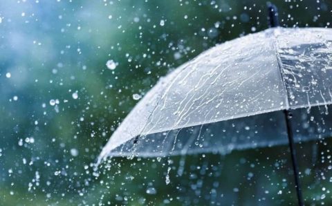 O‘zbekistonda hafta yomg‘irli va qorli boshlandi