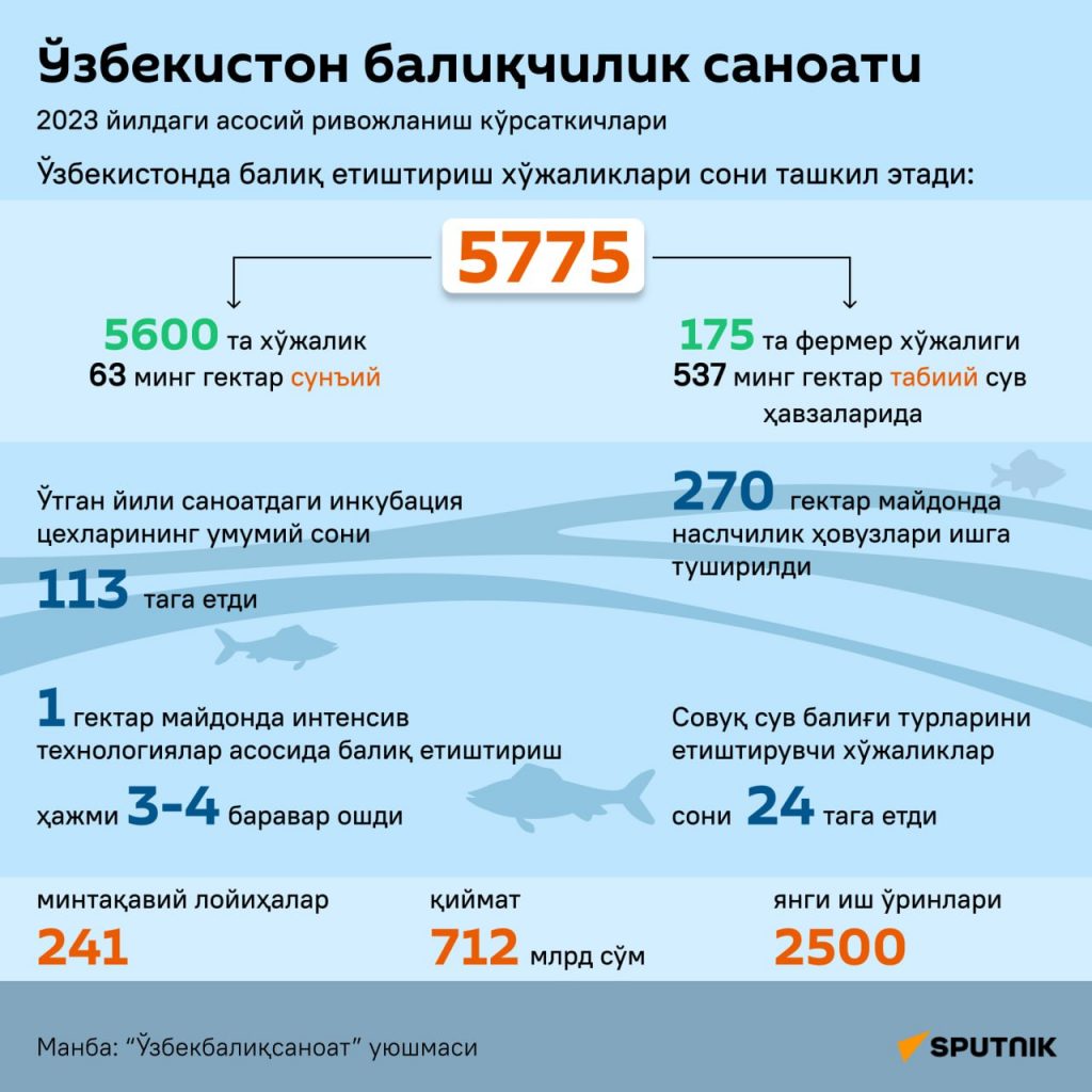 O‘zbekistonda o‘tgan yili baliqchilik qanday rivojlandi?